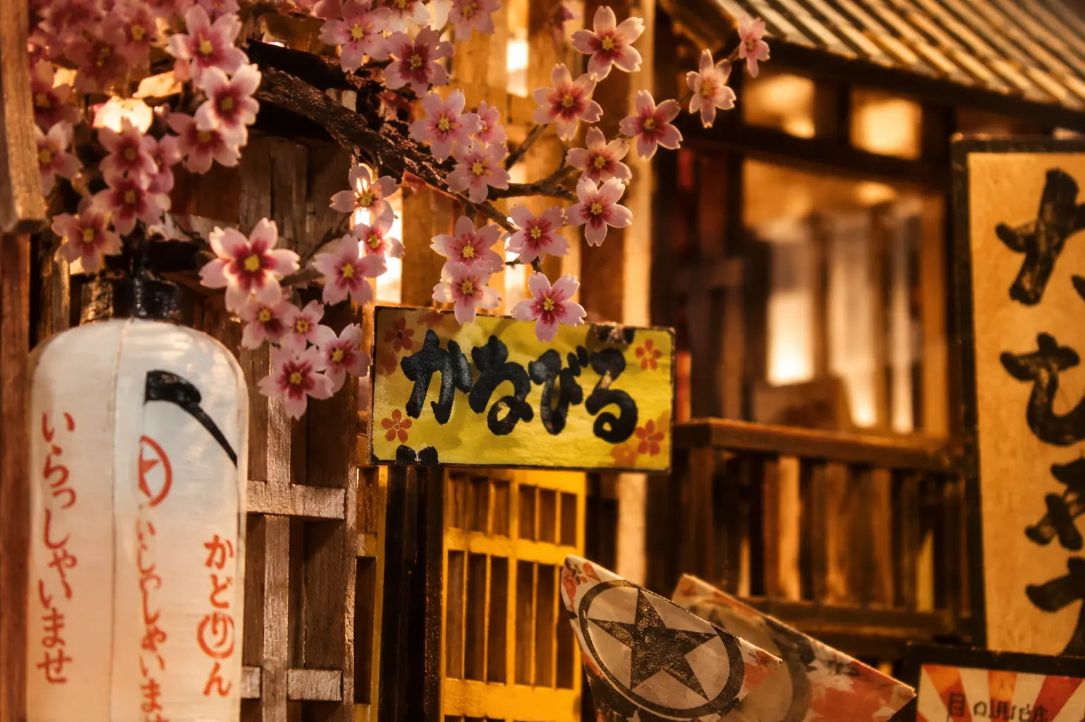 Cherry blossoms